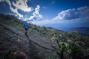 BIB: 
                            <button type="button" onclick="openModal(15955425)" class="btn btn-primary btn-sm float-right btn-popup" data-toggle="modal" data-target=".modal-high-quality">
                        <i class="fas fa-shopping-cart"></i> Add to Cart
                    </button>
                                            <button type="button" onclick="isThisMe(15955425, true)" class="btn btn-success btn-sm float-right btn-popup btn-isme hidden" data-toggle="tooltip" data-placement="bottom" title="นี่คือรูปของคุณใช่ไหม คลิกที่นี่เพื่อเอาเข้าอัลบั้ม">
                        <i class="fas fa-plus"></i> Add to album
                    </button>
                    <button type="button" onclick="isThisMe(15955425, false)" class="btn btn-warning btn-sm float-right btn-popup btn-isnotme hidden">
                        <i class="fas fa-ban"></i> Remove from album
                    </button>